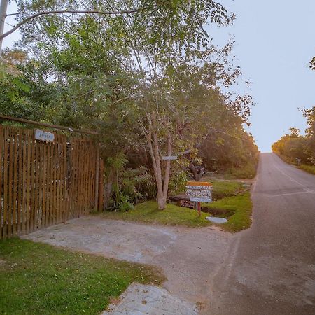 Aruana Suites Seu Refugio Entre Arvores A 5Km Da Vila De ปรายาโดฟอร์ชิ ภายนอก รูปภาพ